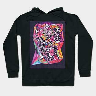 TRIANGLESNPINWHEELS1 Hoodie